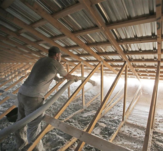 Izolatii cu Celuloza